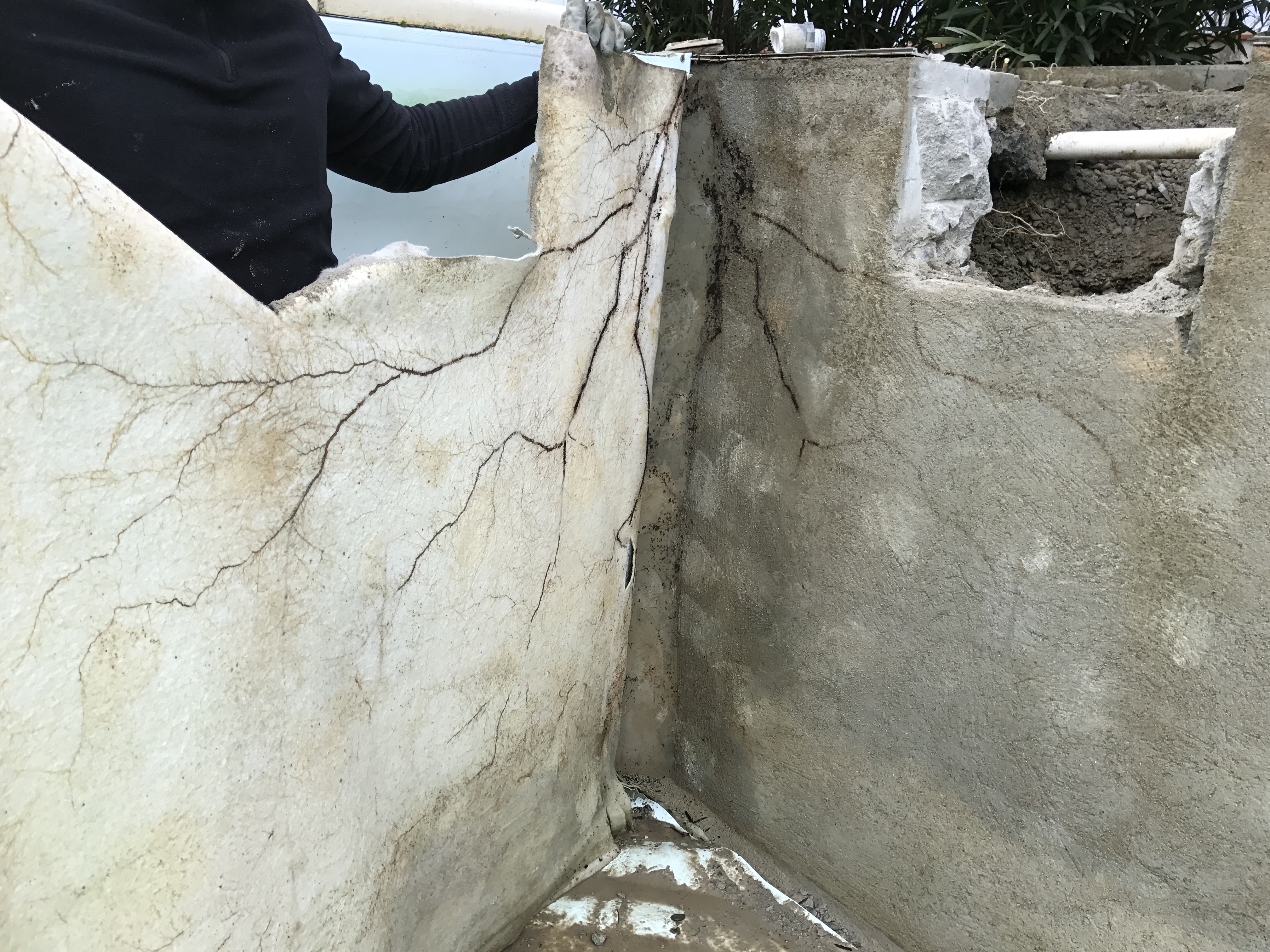 Rénovation piscine